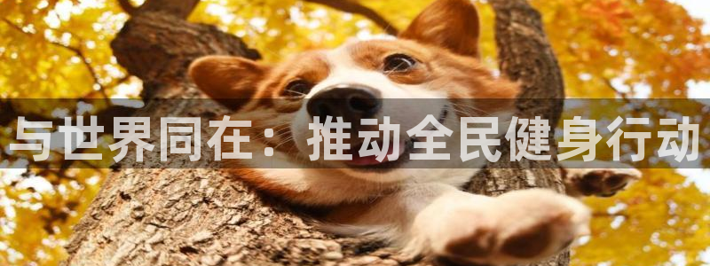 J9官网下载招商电话地址是多少：与世界同在：推动全民