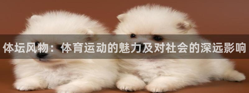 J9官网下载招商电话：体坛风物：体育运动的魅力及对社