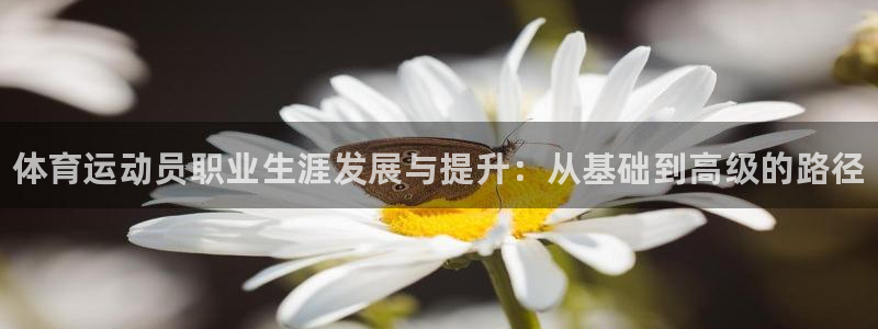 J9官网下载招商电话号码查询是多少