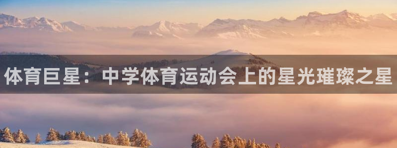 J9官方正版app神州