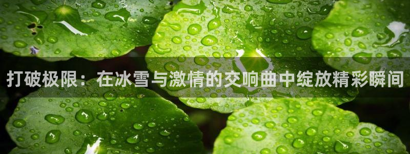 J9官方正版app开户：打破极限：在冰雪与激情的交响