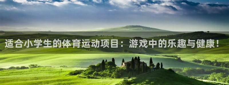 J9官网下载平台APP：适合小学生的体育运动项目：游戏中的乐
