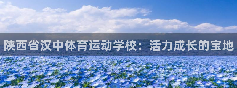 J9官方正版app娱乐