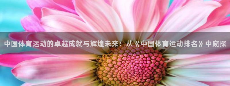 J9官方正版app集团E.ON：中国体育运动的卓越成