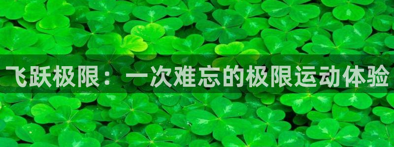 J9官方正版app集团官网首页网址：飞跃极限：一次难