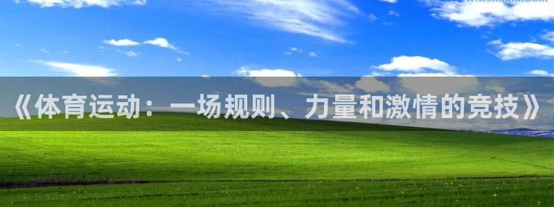 J9官方正版app娱乐：《体育运动：一场规则、力量和