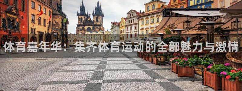 J9官方正版app官方：体育嘉年华：集齐体育运动的全部魅力与