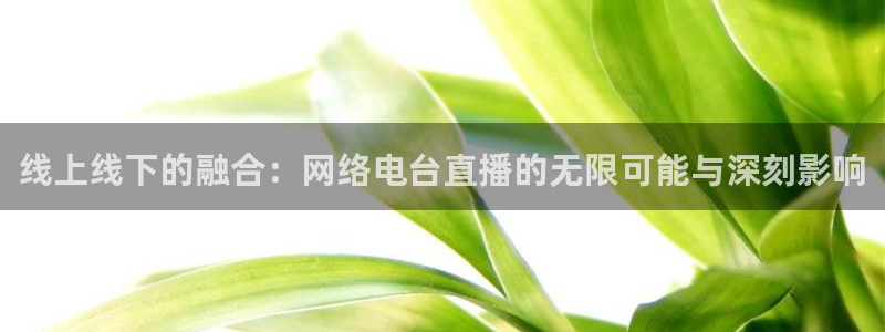nba飞速在线直播：线上线下的融合：网络电台直播的无限可能与深刻影响