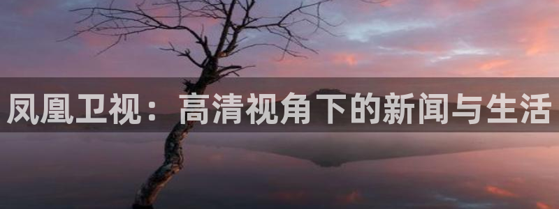 飞速体育在线直播：凤凰卫视：高清视角下的新闻与生活