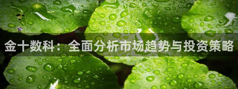 高速直播飞速体育：金十数科：全面分析市场趋势与投资策略