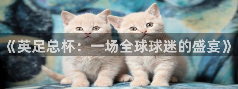 飞速直播体育在线直播