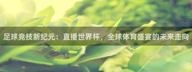 飞速直播体育在线观看：足球竞技新纪元：直播世界杯，全球体育盛宴的未来走向